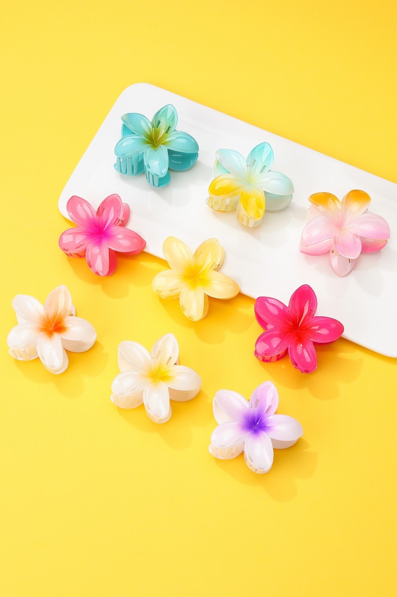 Gradient Floral Resin Hair Claw Clips