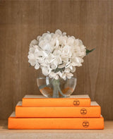 3 Vol- H Stack / Off- White Cover / 6.75- 9.5