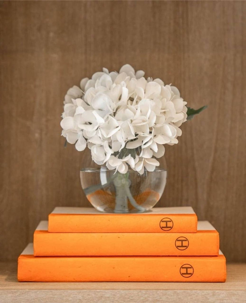 3 Vol- H Stack / Off- White Cover / 6.75- 9.5