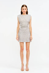 Lucia Dress : SILVER / XS