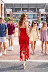 3d Lace Appliqué Fringe Hem Bodycon Midi Dress