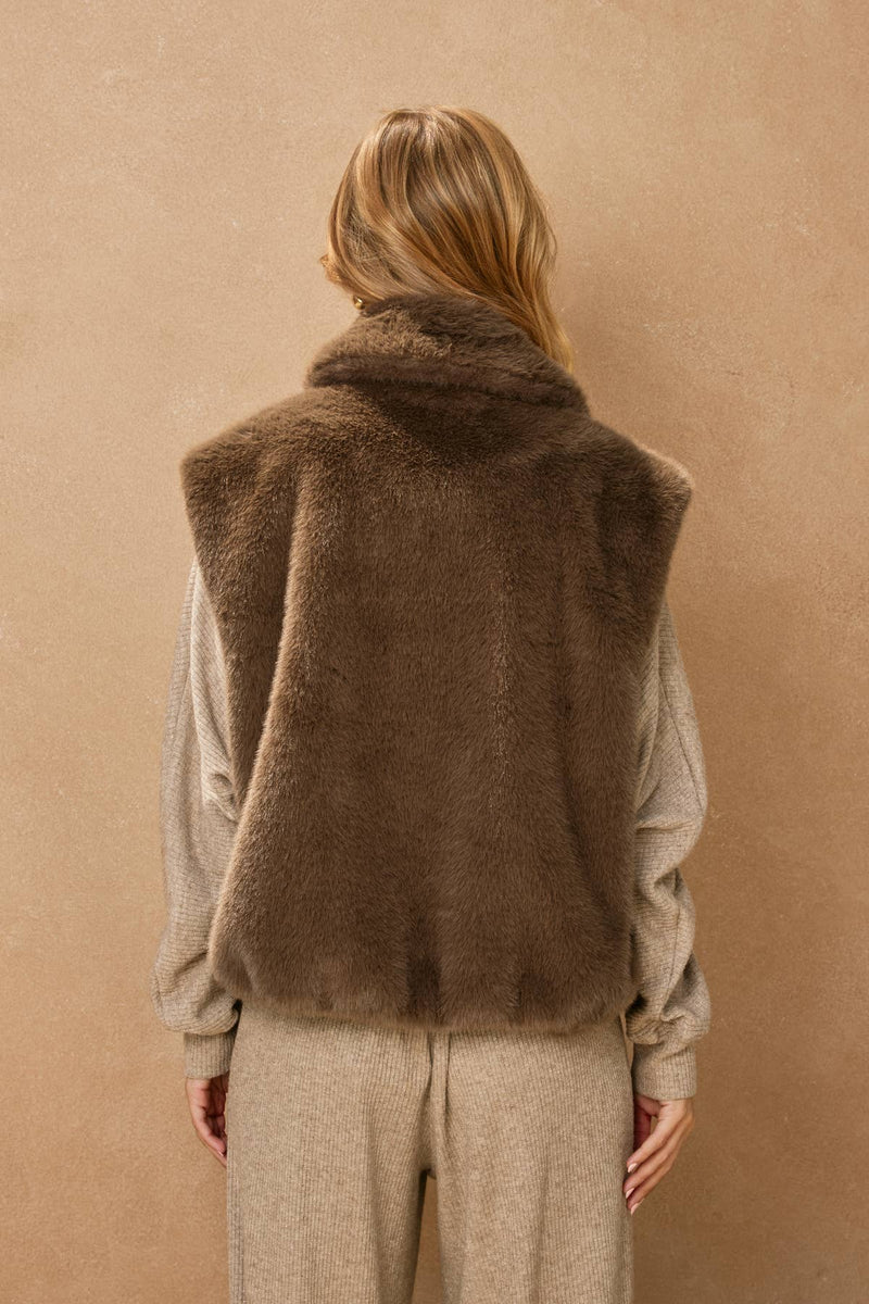 Wind Whispers Faux Fur Collared Vest: BLACK